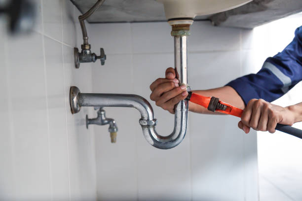Best Clogged Drain Plumber  in Grove Hill, AL